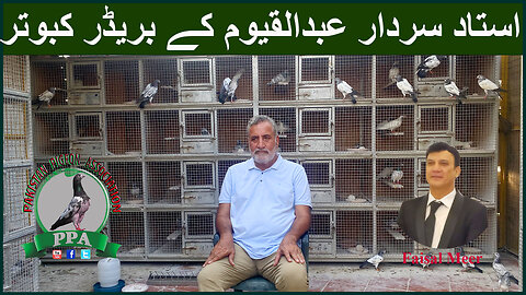 Ustad Sardar Abdul Qayyum Pigeons From Karachi Watch In HD Urdu/Hindi #faisal #pigeon