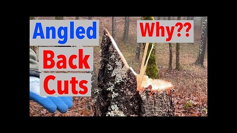 Silly Angled Back Cuts Why They Are Dangerous And Ineffective
