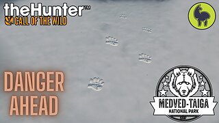 Danger Ahead, Medved Taiga | theHunter: Call of the Wild (PS5 4K)