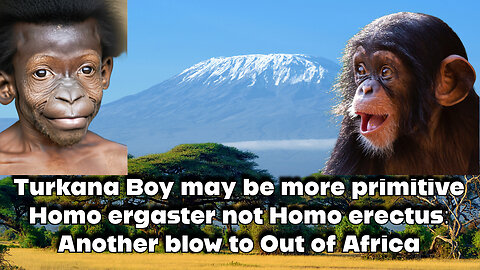 Turkana Boy may be Homo ergaster, not Homo erectus