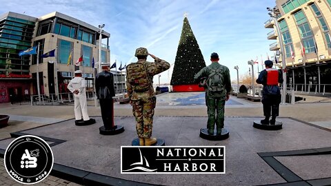 National Harbor - The Awakening - Freedom Walk-Vanlife Maryland Ford Transit Connect XLT