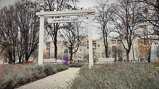Winter Lavender Park Győr city Hungary