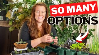 Bringing Your Favourite Garden Plants Indoors For The Winter. Taking Cuttings Vs. The Whole Plant.