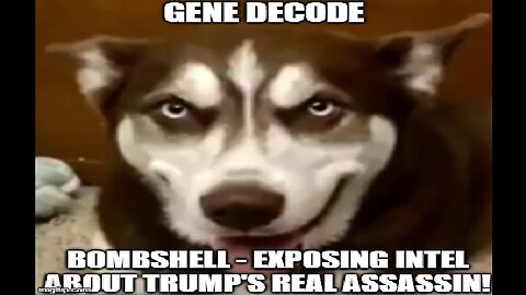 Gene Decode BOMBSHELL - Exposing Intel About Trump's REAL Assassin!