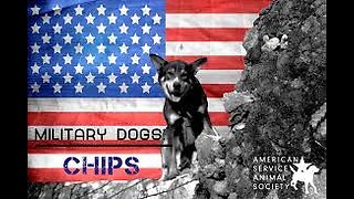 Chips: Canine Hero of WW2