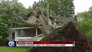 Massive tree crashes through Rochester home