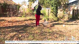 Baltimore teen launches landscaping business with skills learned through community cleanups