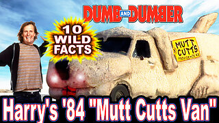10 Wild Facts About Harry's '84 "Mutt Cutts Van" - Dumb & Dumber + To