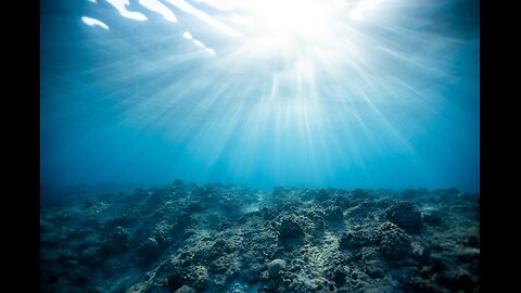 8 Hours of Deep Sea Serenity - Black Screen Underwater Ambiance