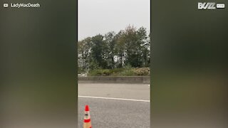 Driver captures train accident in Canada