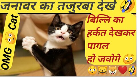 Funny animal videos 😂 Cute animal 😸 Funny Dog and Cat videos 😁 Hilarious pet videos 😸 Part 219