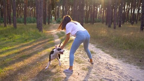 beautiful girl play with smart and cute dog life