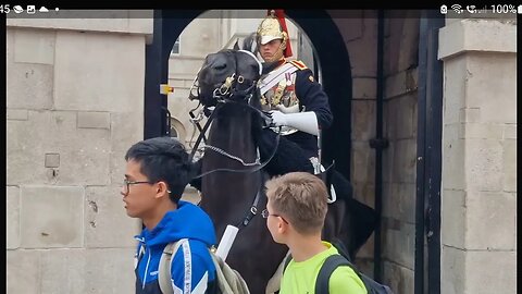 Horse jumps guard control's #horseguardsparade