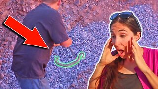 We Find A Deadly Mojave Green Rattlesnake In Our Underground Earthbag House