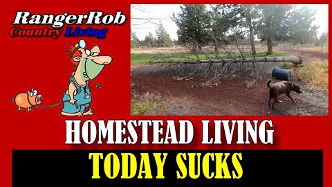 Today Sucks! Homestead Living Bad Day