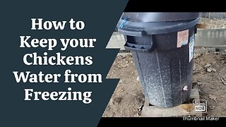 DO THIS to keep your chickens water from freezing #homesteading #farmlife