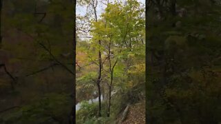 Fall Colors From The Great Smoky Mountains Railroad! - Part 12