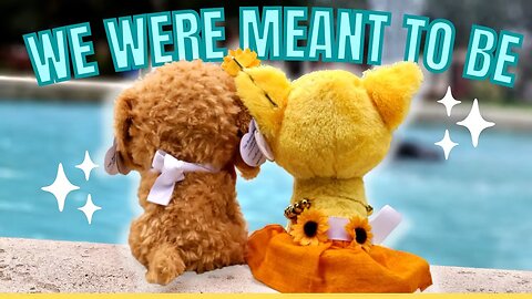 "We Were Meant to Be" 🌻 |:| A Thousand Islands Music Video |:| Sunflower x Benjamin 💛