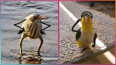 BIRDS WITH ARMS BEING THE FUNNIEST THING EVER-TRY NOT TO LAUGH🤣🤣🤣😅😅