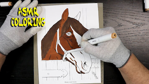 ASMR Coloring A Beautiful Horse
