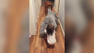A Tot Girl And A Dog Have A Tug-Of-War