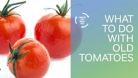 Waste not want not: what to do with old tomatoes