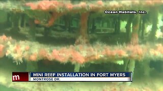 More mini reefs to be installed off Caloosahatchee River to help filter water