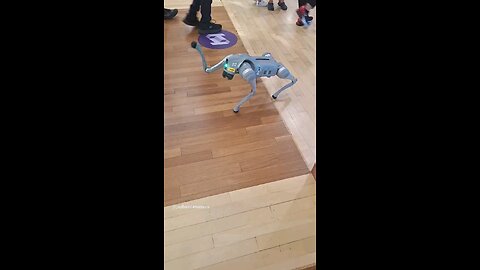 Tech Doggo - Waving 👋 At People - Tech Interactive Museum