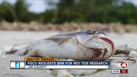 FGCU requesting $9 million for red tide research