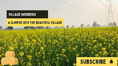 Village Wonders | A Glimpse into the Beautiful Village | Village Vibes