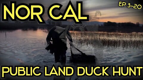 PUBLIC LAND DUCK HUNTING NORTHERN CALIFORNIA 2020