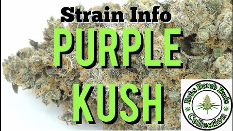Purple Kush, Cannabis Strain