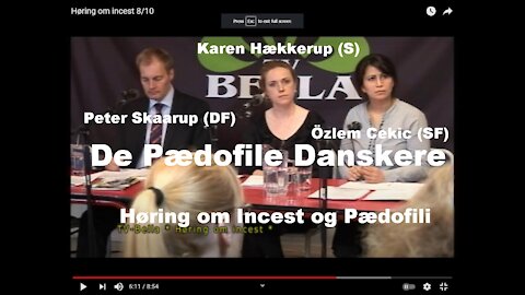 Høring om Incest og Pædofili [04.03.2011]