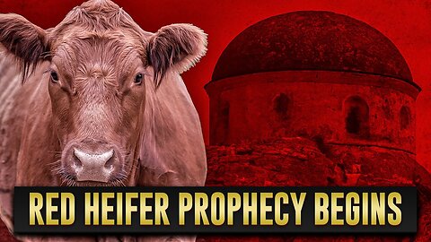 David Rodriguez Update Today Apr 6: "Red Heifer Prophecy Revealed..Texas Rancher Sends 4 To Israel"