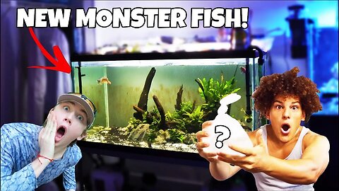 Adding ESCAPED Aquarium FISH To My MONSTER Fish Aquarium!