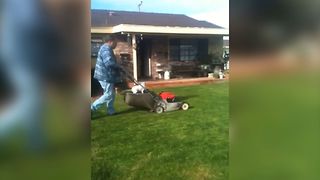 Lawnmower Riding Dog