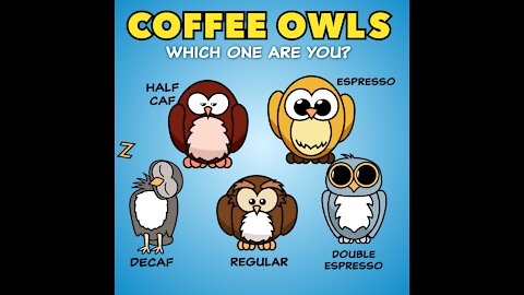 Coffee Owls [GMG Originals]