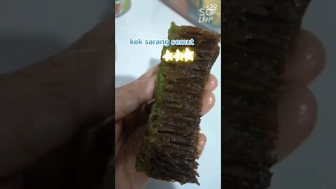 #shorts kek sarang semut berjalur jalur dan bersarang sarang