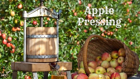 Apple and Pear Chopping and Pressing #apples #pears #fall
