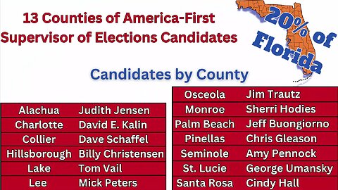 Systemic Election Problems in Florida Exposed by 13 AF SOE Candidates