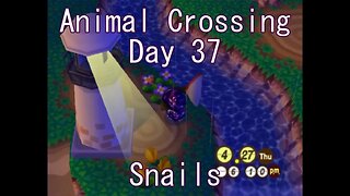 Animal Crossing: Day 37