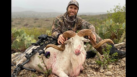 Bowhunting for Texas Dall Sheep! DELICIOUS Tenderloin With Cherry Glaze
