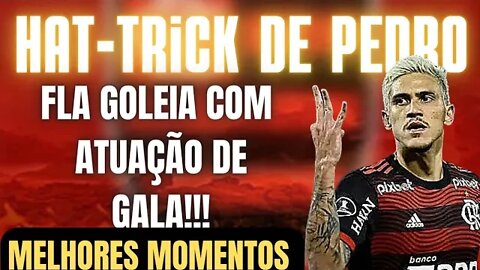 ATUAÇÃO DE GALA NO MARACANÃ/FLAMENGO GOLEIA/PEDRO FAZ 3 GOLS/SHOW DO FLAMENGO/MELHORES MOMENTOS