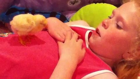 Young Girl Sings Lullabies To A Chicken