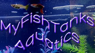 MFTAQ - Fish Talk Friday's Live Stream #30 12ET / 11CT