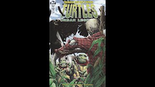 Teenage Mutant Ninja Turtles: Urban Legends -- Issue 12 (2018, IDW) Review