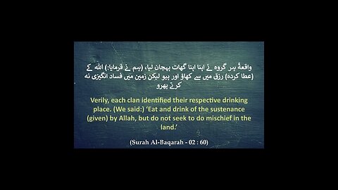 Part 22 : Surah 02 (Al-Baqarah) Verse 60 HD Translation in Urdu & English #shorts