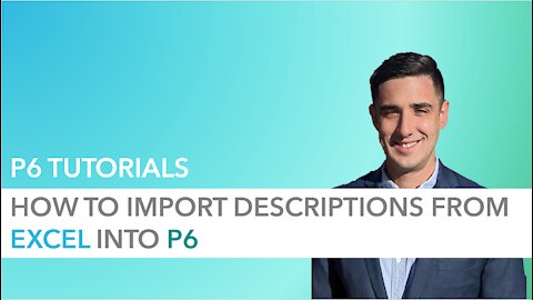 Import Descriptions from Excel to P6