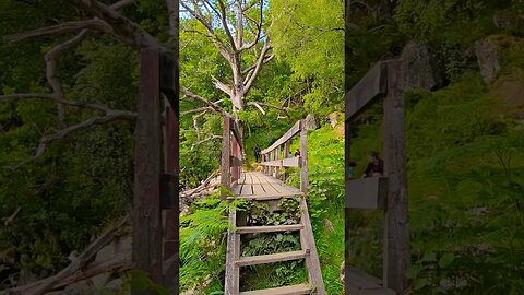 Wooden bridge on The West Highland Way Scotland #westhighlandway