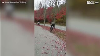 Ciclista leva queda em calçada cheia de folhas!